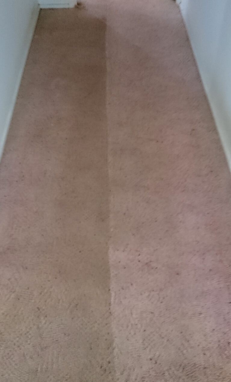 Fraser Coast Carpet & Pest servicing Hervey Bay, Maryborough & Surrounds - Hallway before and after carpet cleaning